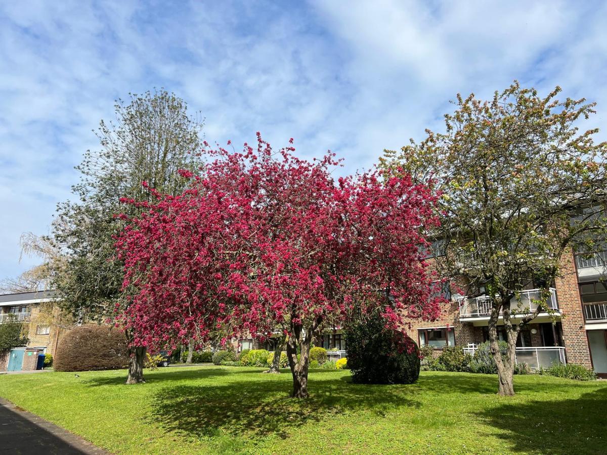 Maisonette Brecon Court Eltham Exterior foto